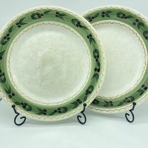 Oneida Oliveto Hand-Painted Dinner Plates Set Of 2‎ - 11" Mediterranean Vintage